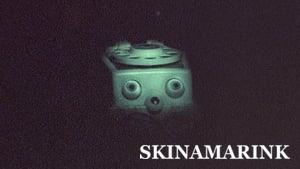 Skinamarink