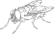 Flies Collective Logo