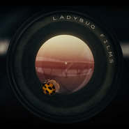 Ladybug Films Logo