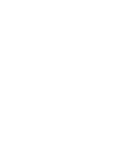 Northern Sheep Cinema Logo