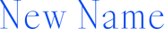 New Name Entertainment Logo