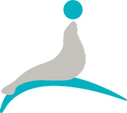 Ronachan Films Logo