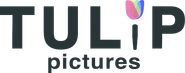 Tulip Pictures Logo