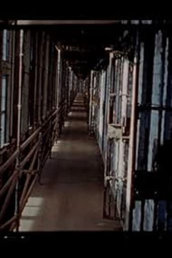 Air Force Two Poster