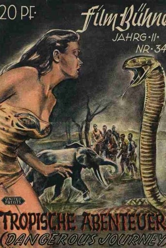 Dangerous Journey Poster