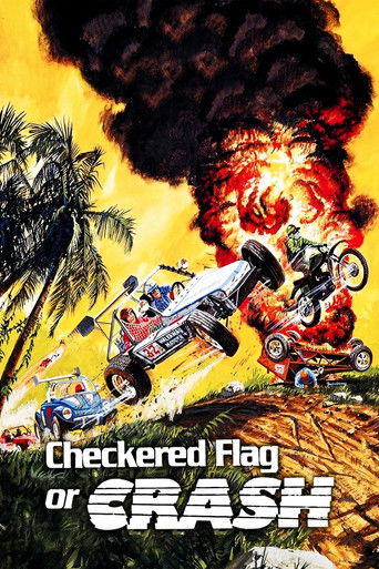 Checkered Flag or Crash Poster