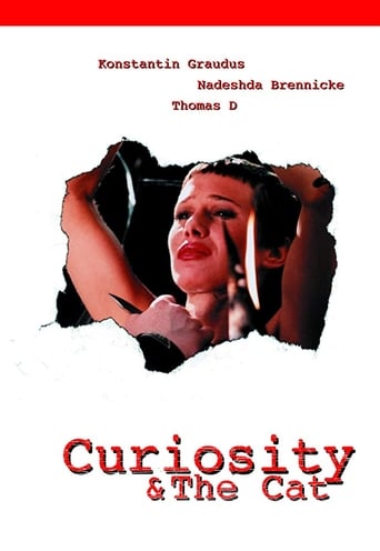 Curiosity & the Cat Poster