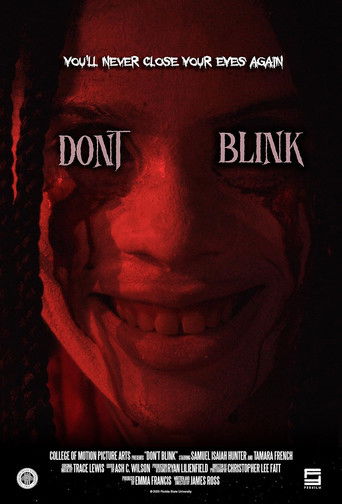 Don't Blink Poster