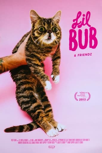 Lil Bub & Friendz Poster