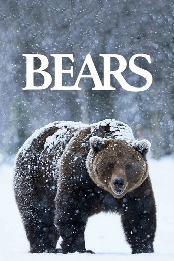 Bears Poster