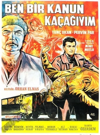 Ben Bir Kanun Kaçağıyım Poster