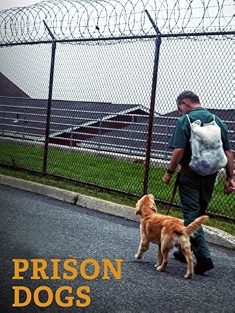 Prison Dogs Poster