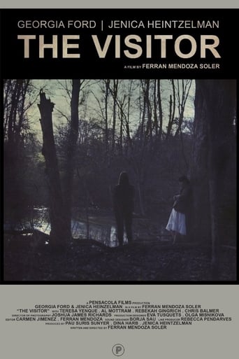 The Visitor Poster