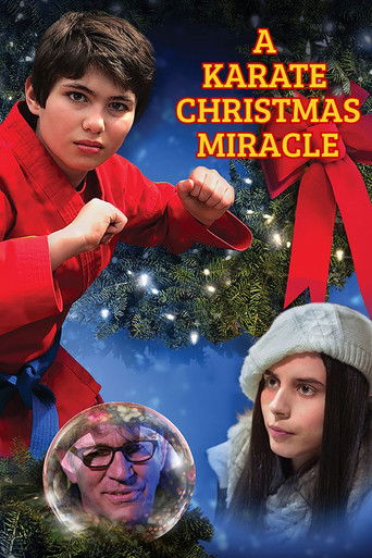 A Karate Christmas Miracle Poster