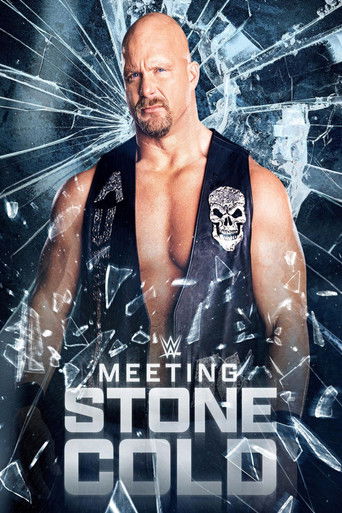 Meeting Stone Cold Poster