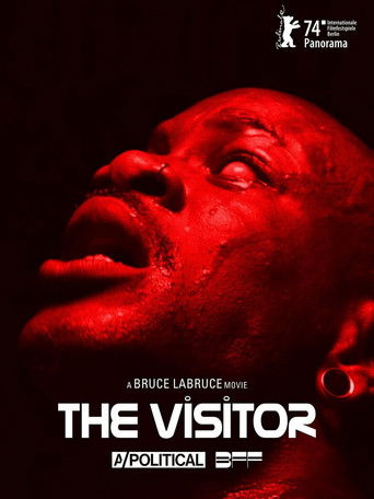 The Visitor Poster