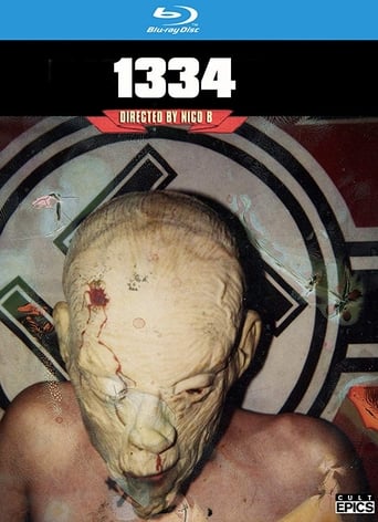 1334 Poster