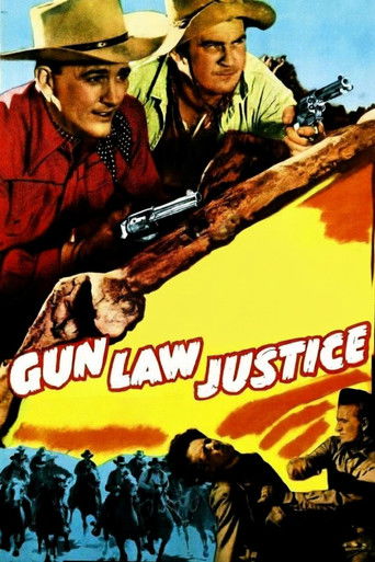 Gun Law Justice Poster