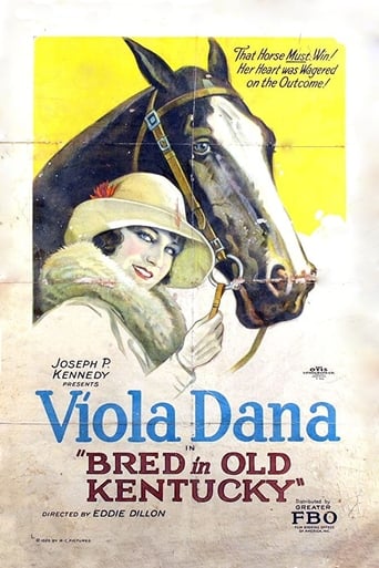 Bred in Old Kentucky Poster