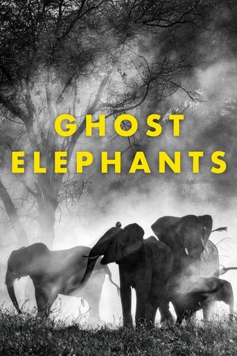 Ghost Elephants