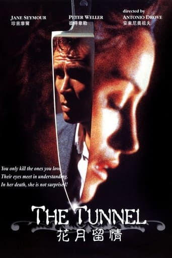 The Tunnel Poster