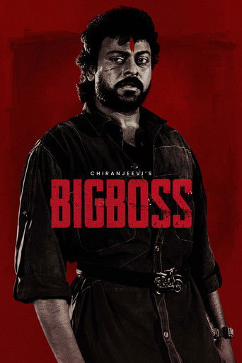 Big Boss Poster