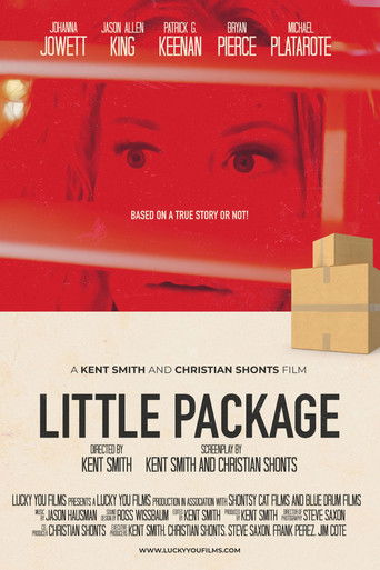 Little Package Poster