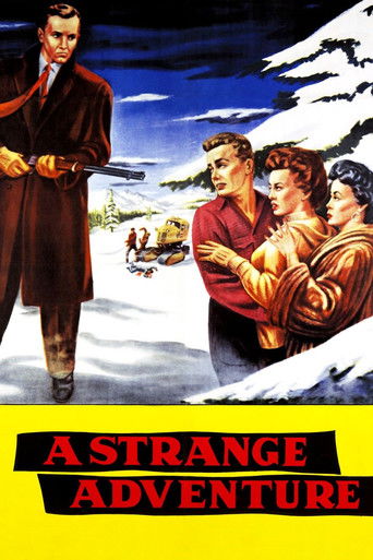A Strange Adventure Poster