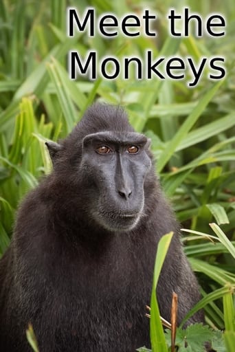 Meet the Monkeys Poster