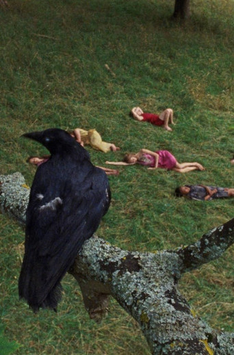 The Bird Game Poster