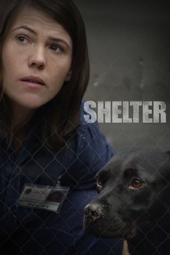 Shelter Poster