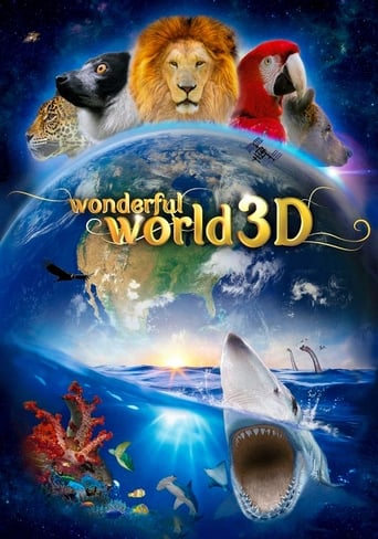 Wonderful World 3D Poster