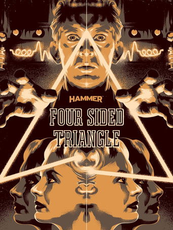 Four Sided Triangle Poster