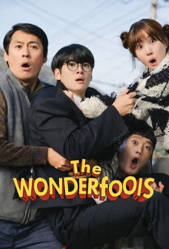 The WONDERfools Poster