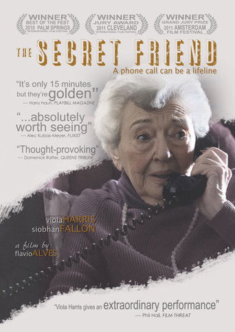 The Secret Friend Poster
