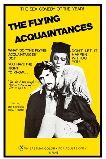 Flying Acquaintances Poster