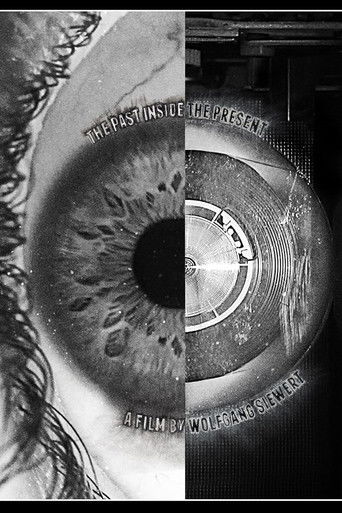 The Past Inside The Present Poster