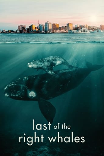 Last of the Right Whales Poster