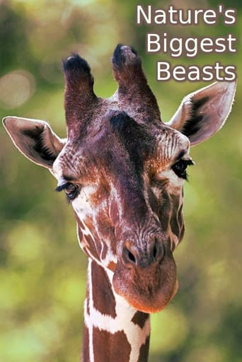 Nature's Biggest Beasts Poster