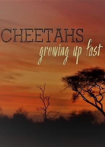 Cheetahs: Growing Up Fast Poster