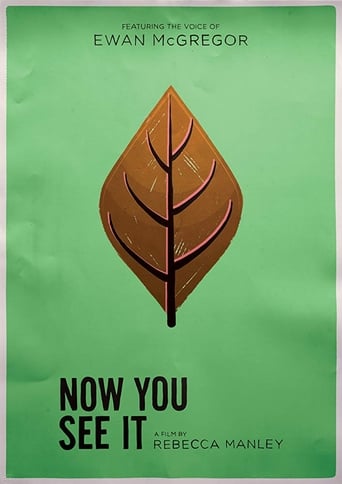 Now You See It Poster