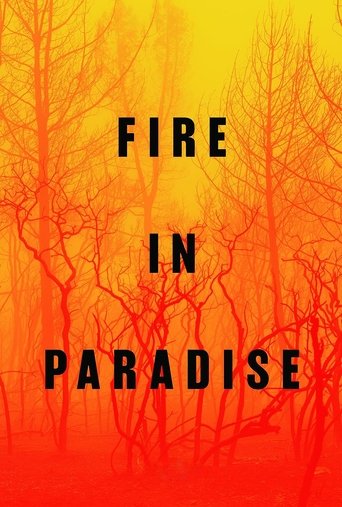 Fire in Paradise Poster