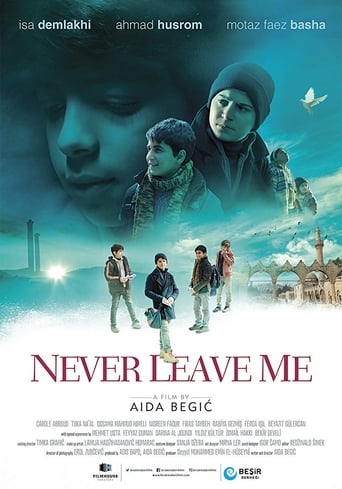 Never Leave Me Poster