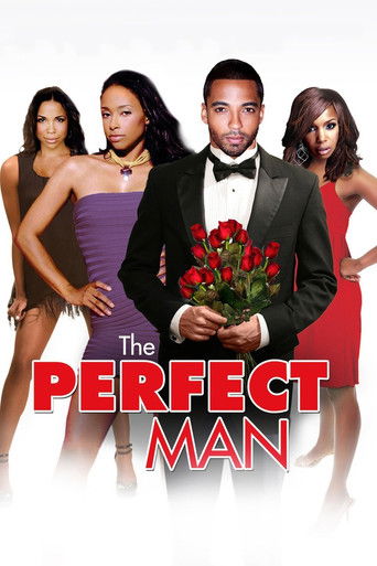 The Perfect Man Poster