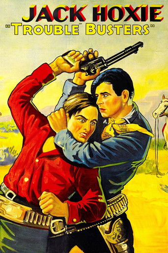 Trouble Busters Poster