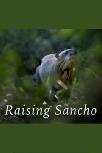 Raising Sancho Poster