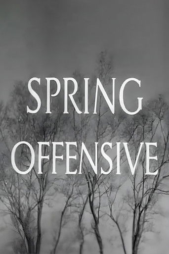 Spring Offensive