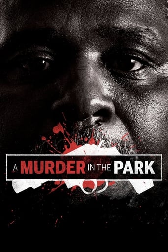A Murder in the Park Poster