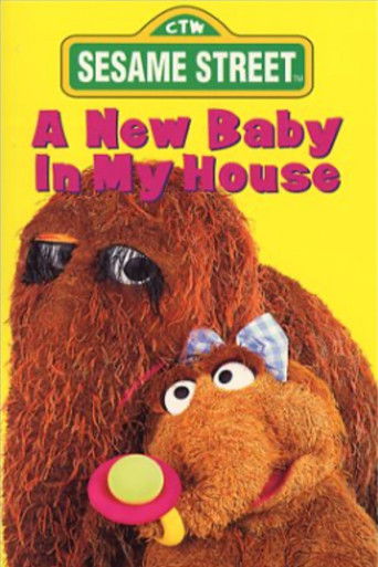 Sesame Street: A New Baby In My House