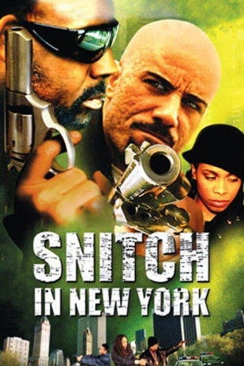 Snitch in New York Poster